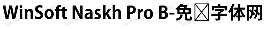 WinSoft Naskh Pro B字体转换
